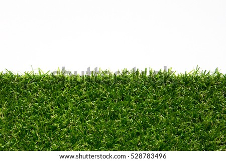 Artificial green grass on white background