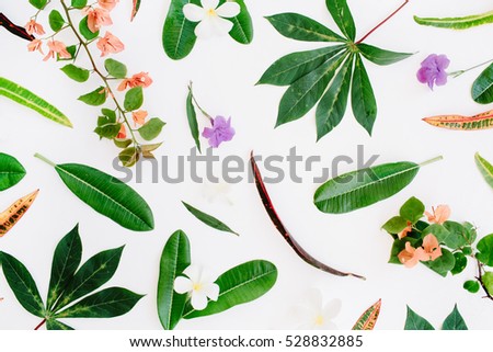 tropical exotic colored leaf pattern on white background. flat lay, top view Royalty-Free Stock Photo #528832885
