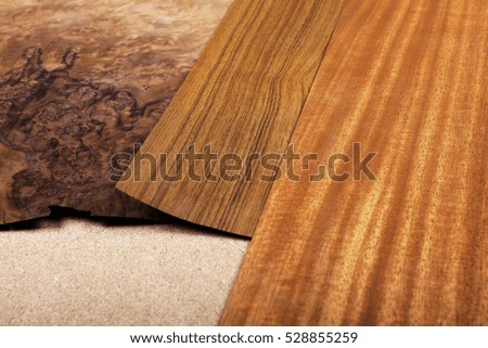 wood exotic tree - stock image
