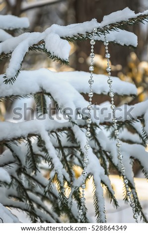 Silver beads on a snow-covered tree in winter forest