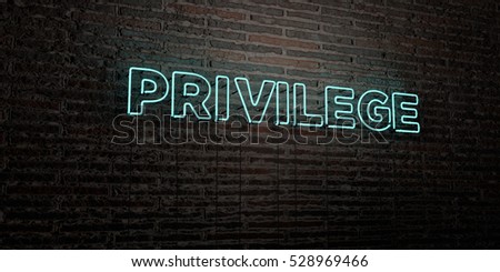 PRIVILEGE -Realistic Neon Sign on Brick Wall background - 3D rendered royalty free stock image. Can be used for online banner ads and direct mailers.
