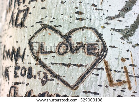 love heart carved on a tree bark