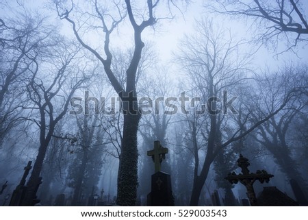 Mysterious cemetery in misty early evening