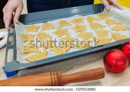 Christmas ginger cookies on a baking.  