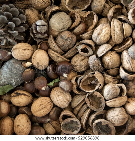 Nut shells Royalty-Free Stock Photo #529056898