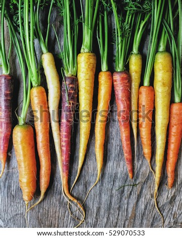 Colorful Rainbow carrot with their green leaves lay on the wooden table. Royalty-Free Stock Photo #529070533