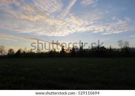 Sunset behind trees in an Ontarian field, Canada.