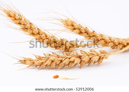 The ears of wheat, wheat Royalty-Free Stock Photo #52912006