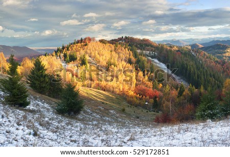 Cold autumn in the Carpathians. Bright colors after snow blizzard is very beautiful scenic, beech, birch and pine forests on the slopes of Sokilsky background mountains at dawn
Ã?Â  sunset