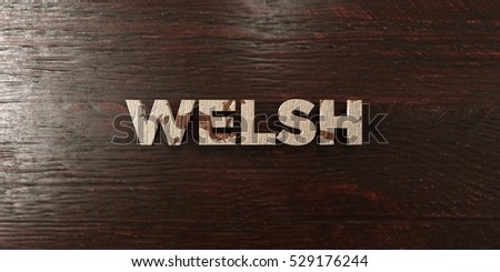 Welsh - grungy wooden headline on Maple  - 3D rendered royalty free stock image. This image can be used for an online website banner ad or a print postcard.
