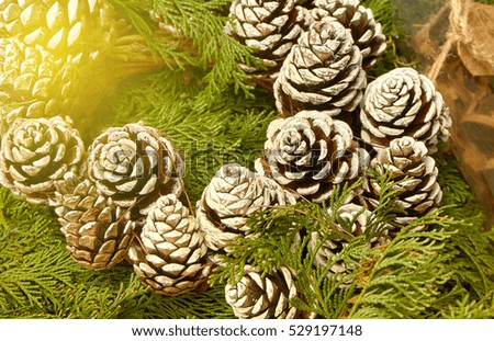 Pine cones for Christmas decoration in warm tone, picture was added artificial light in top left corner.