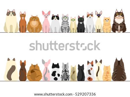 cats border set, front view and rear view