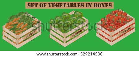 set of vegetables in wooden boxes with carrots, cabbage, tomatoes