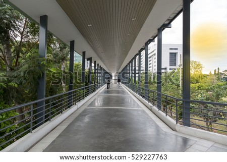 The bridge walk to hospital for sick people,doctor and nurse