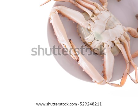 fresh crab on a plate isolated on white background
