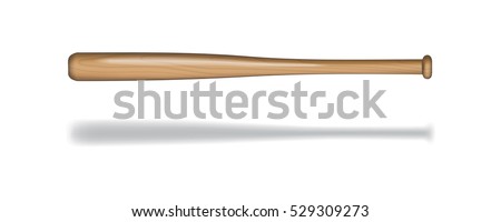 Vector isolated wooden baseball bat.