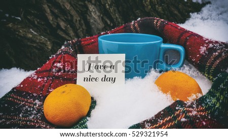 Cup of tea, red scarf and tangerines, words on paper have a nice day