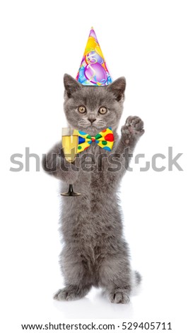Happy cat in birthday hat holding glass of champagne. isolated on white background