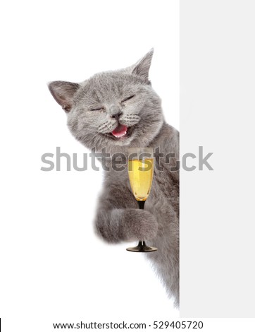 Happy cat holding glass of champagne and peeking from behind empty board. isolated on white background