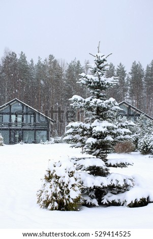 Cottages with fir tree at winter, a vertical picture