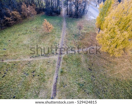 aerial autumn view of urban area in latvia, drone photography