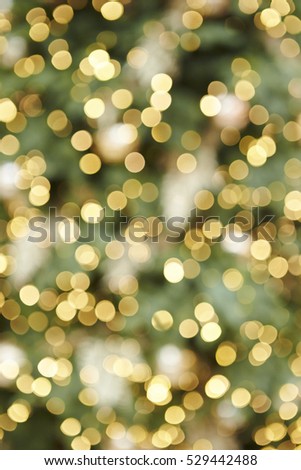 Christmas tree lighting with blurred effect 