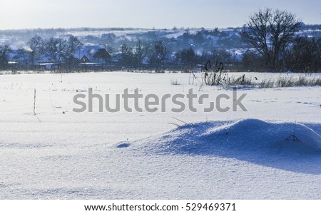 snowdrift in a rustic field