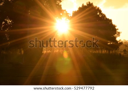 Sunny early in the morning.light on the morning. Royalty-Free Stock Photo #529477792