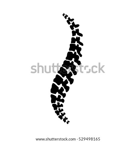 Vector  human spine isolated silhouette illustration. Spine pain medical center, clinic, institute, rehabilitation, diagnostic, surgery logo element. Spinal icon symbol design. Concept of scoliosis Royalty-Free Stock Photo #529498165