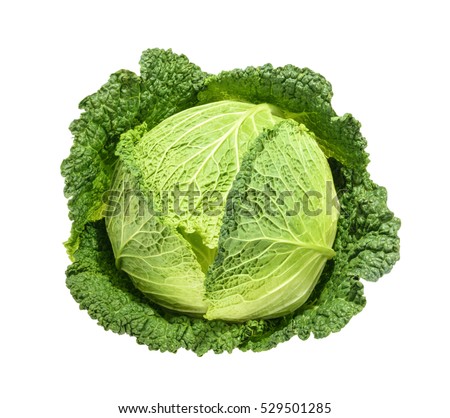 Savoy cabbage isolated without shadow Royalty-Free Stock Photo #529501285