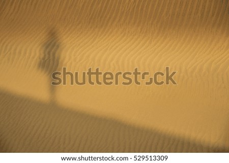 Shadow of a photographer taking picture of the sand dunes in the Natural Reserve of Dunes of Maspaloma in Gran Canaria