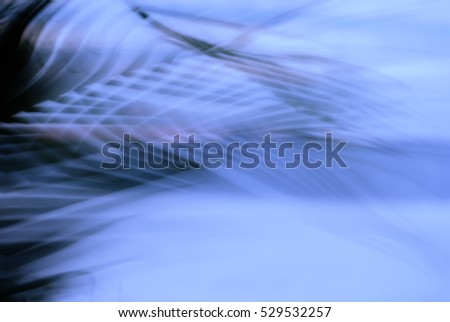Abstract tropical palm tree in motion against sunlight background. Nature pattern, blurred leaves in various colors moving in wind on beach, for travel banner business blog. Image with color filter