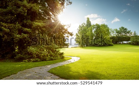 Beautiful panorama of green city park at dawn Royalty-Free Stock Photo #529541479