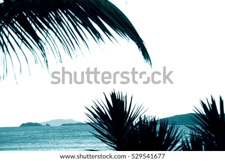 Abstract exotic palm tree leaves in motion. Colorful leaves in retro style moving in summer wind on tropical beach, ideal for travel blog, design template, magazines. Image with vintage filter effect