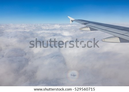 Aircraft wing