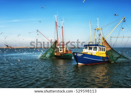 Dutch Fishing trawlers surrounded by seagulls Royalty-Free Stock Photo #529598113