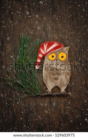 Silhouette of an owl on a fir-tree branch against a dark background. Top view. Studio picture. Subject shooting.
