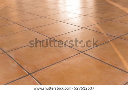 shiny tiled floor with Terracotta tiles 