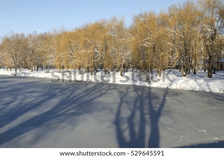 Winter landscape with the frozen pond
