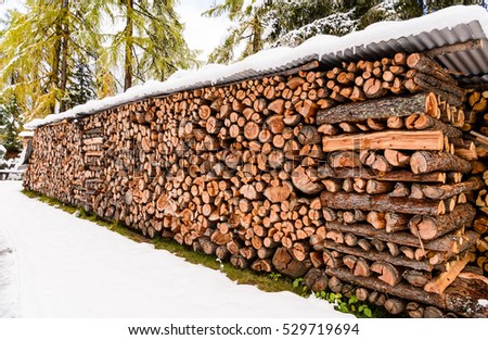 Fire wood logs. Home, energy and winter concept

