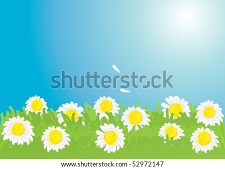 Vector illustration of beautiful chamomile meadow