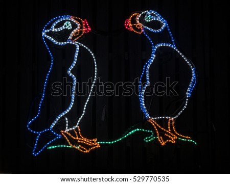 Tufted Puffins Holiday Christmas Lights at Night