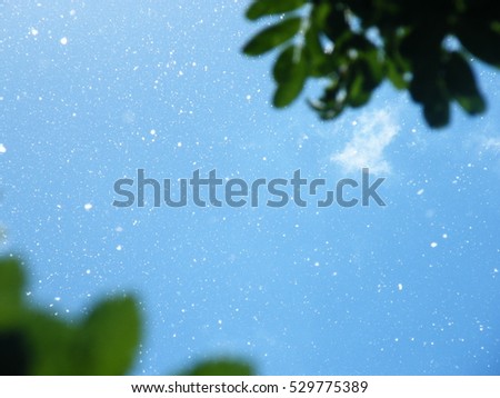Poplar fluff on a background of the blue sky