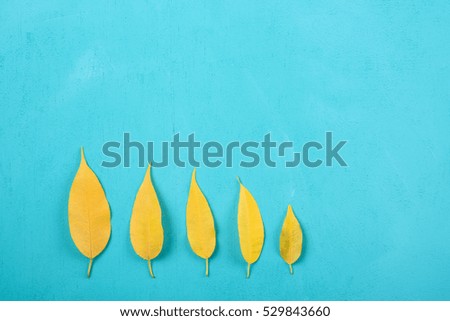 Yellow Autumn Leaves On Turquoise Wood Table