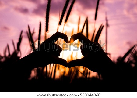 hands in shape of love heart on grass flowers background