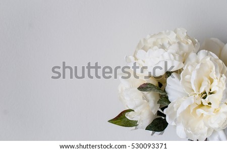 Peony on the white wall Royalty-Free Stock Photo #530093371