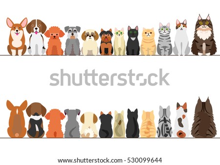 cats and small dogs border set, front view and rear view