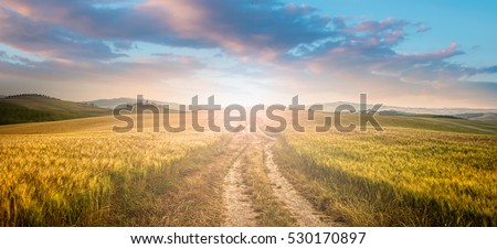 sunset over dirt road Royalty-Free Stock Photo #530170897