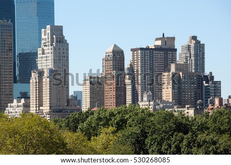 New York City buildings and central park trees view from a roof 