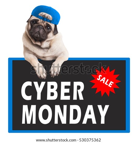 cute pug puppy dog hanging with paws on sign with text cyber monday, on white background